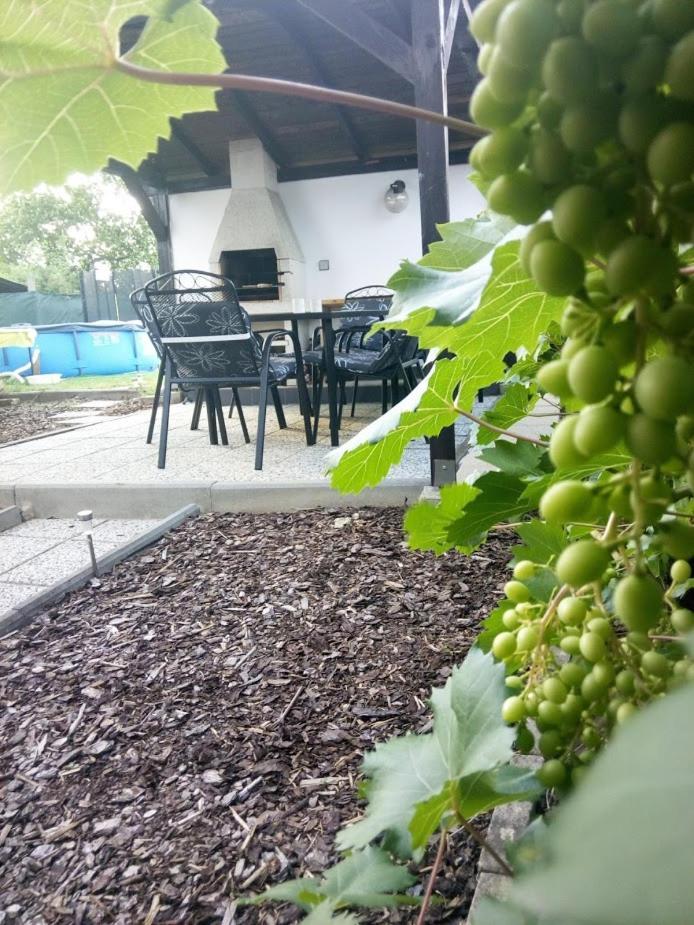 Cyklo ubytování a vinný sklep Žádovice Zadovice Exterior foto